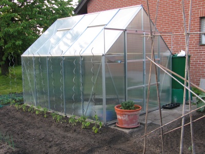 greenhouse 1